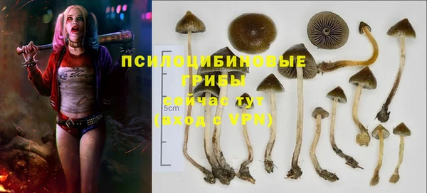 ешки Остров