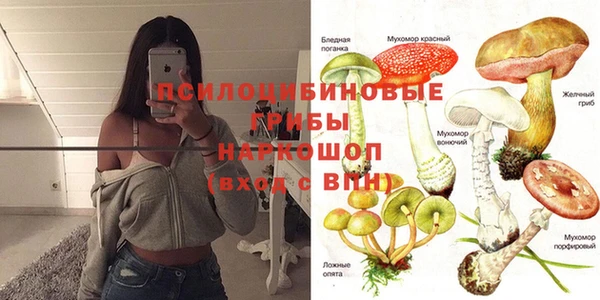 каннабис Осинники